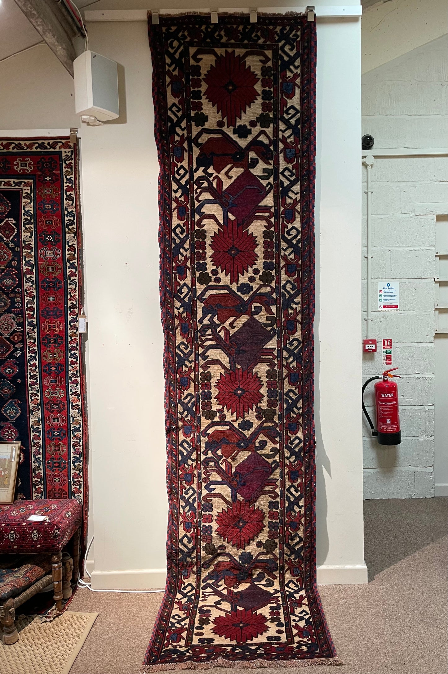 Afghan Burjesta Runner