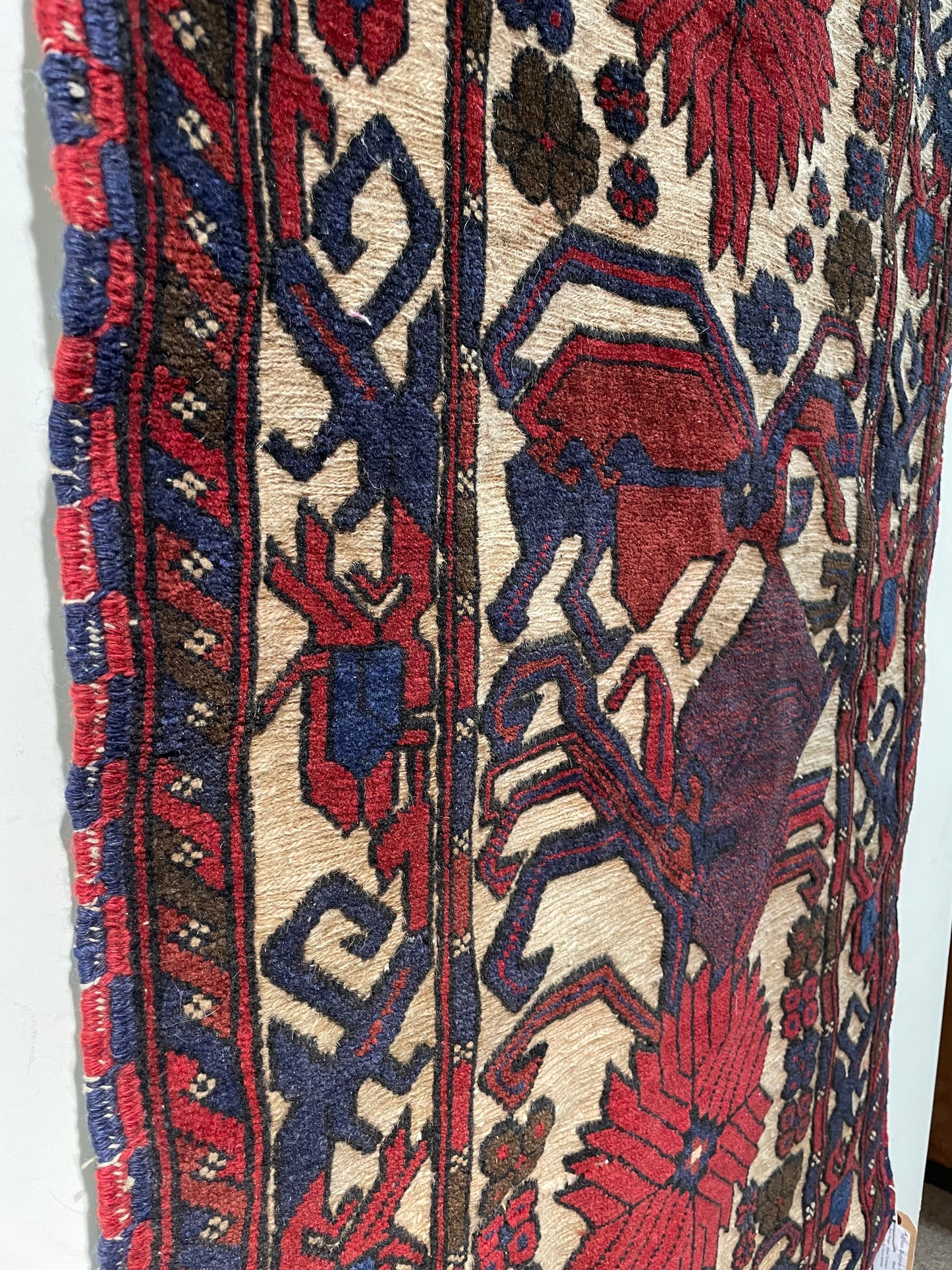 Afghan Burjesta Runner