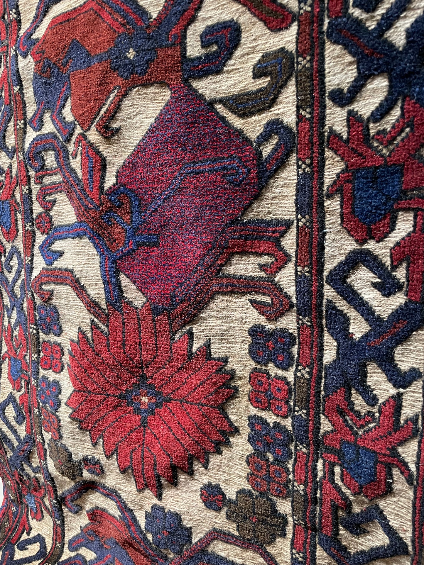 Afghan Burjesta Runner