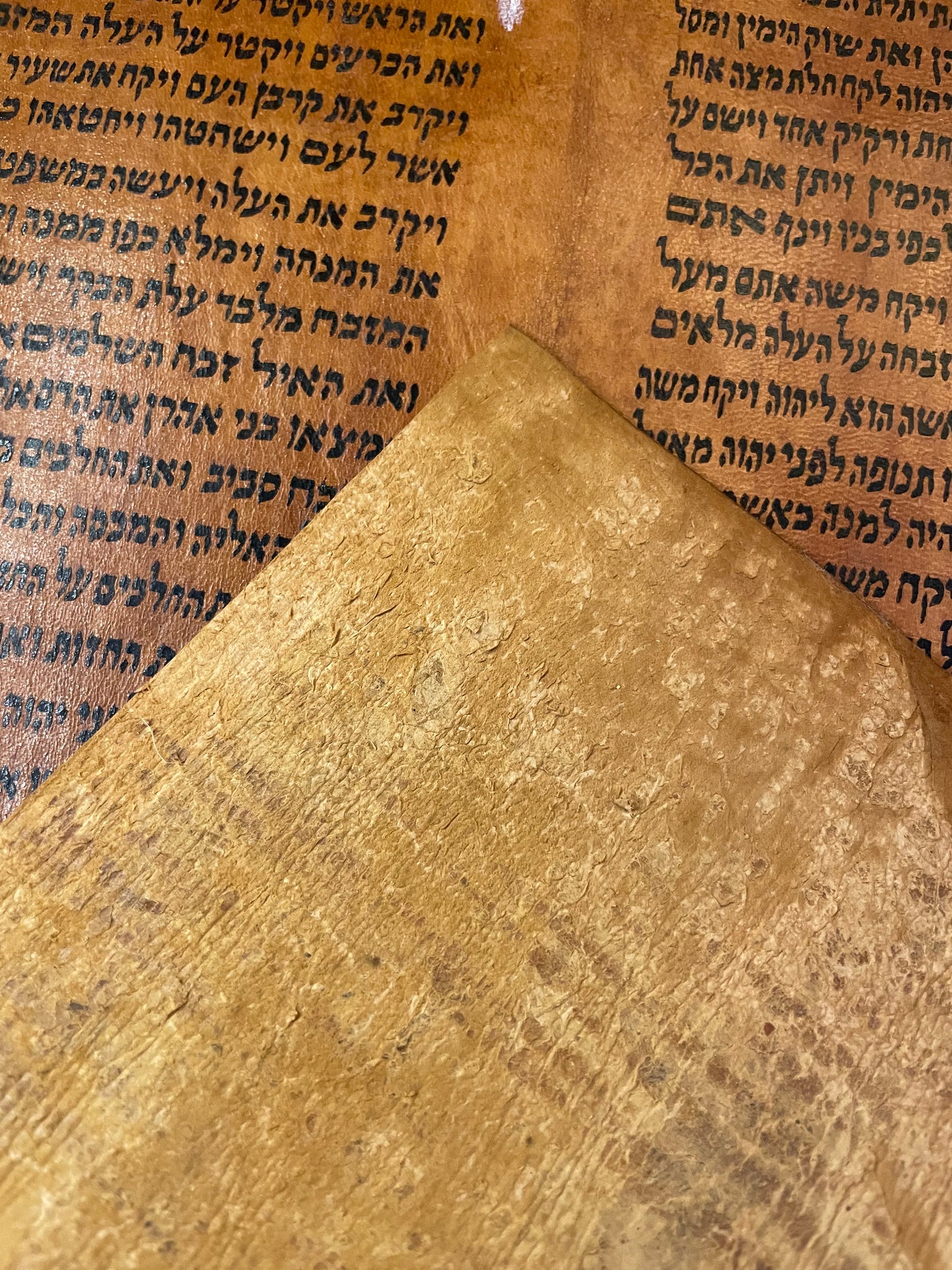 Ancient Yemenite Torah Parchment Fragment