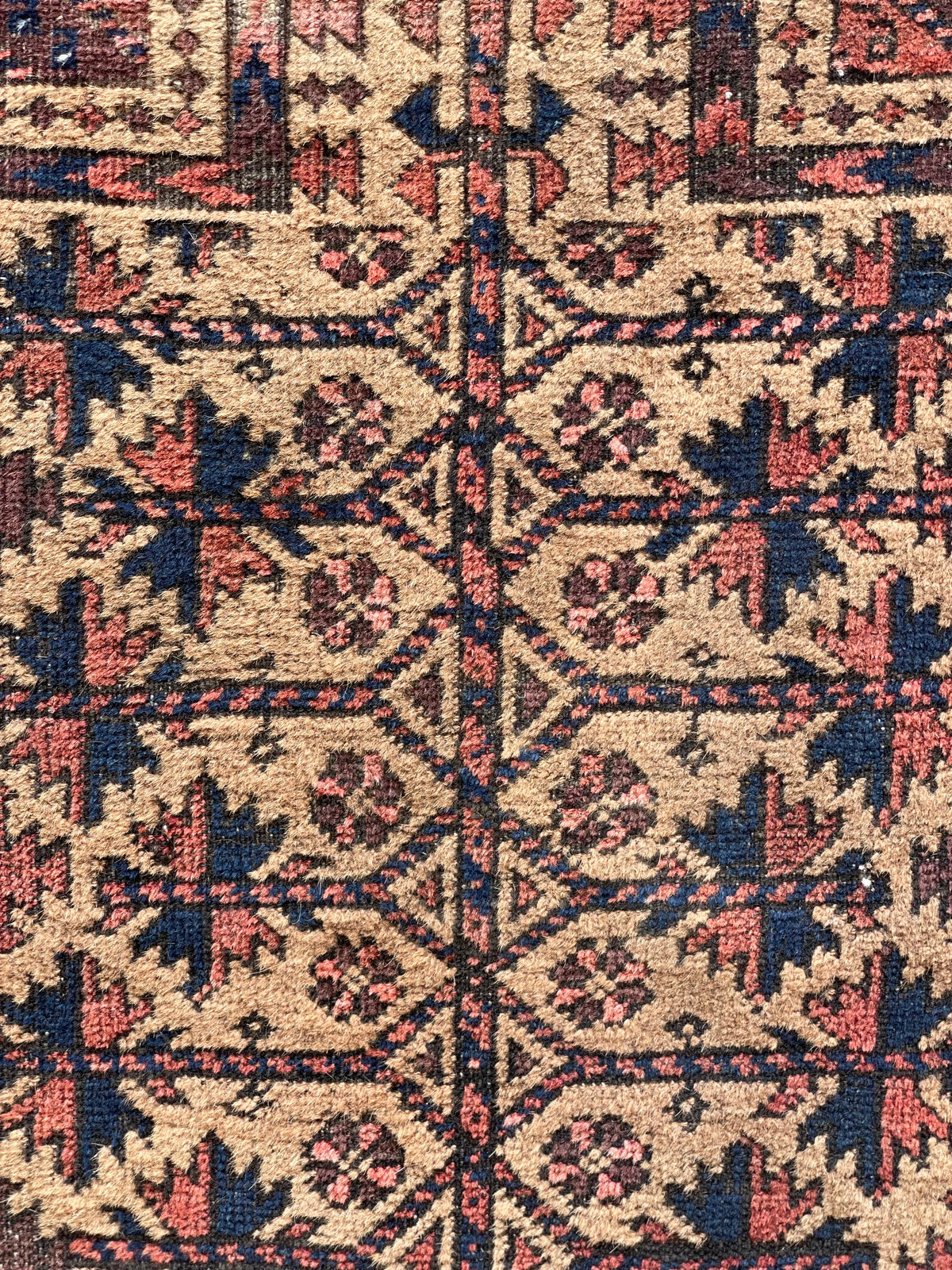 Antique Baluch Prayer Rug with Camel ground