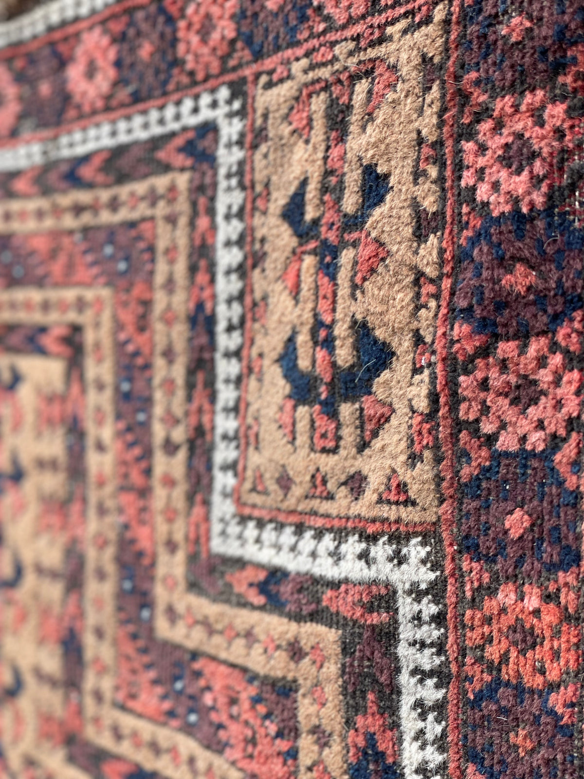 Antique Baluch Prayer Rug with Camel ground