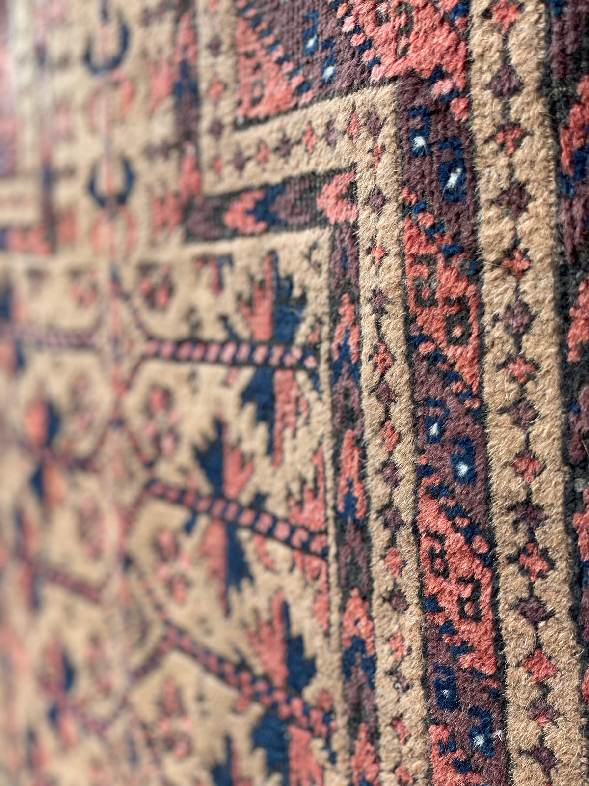 Antique Baluch Prayer Rug with Camel ground