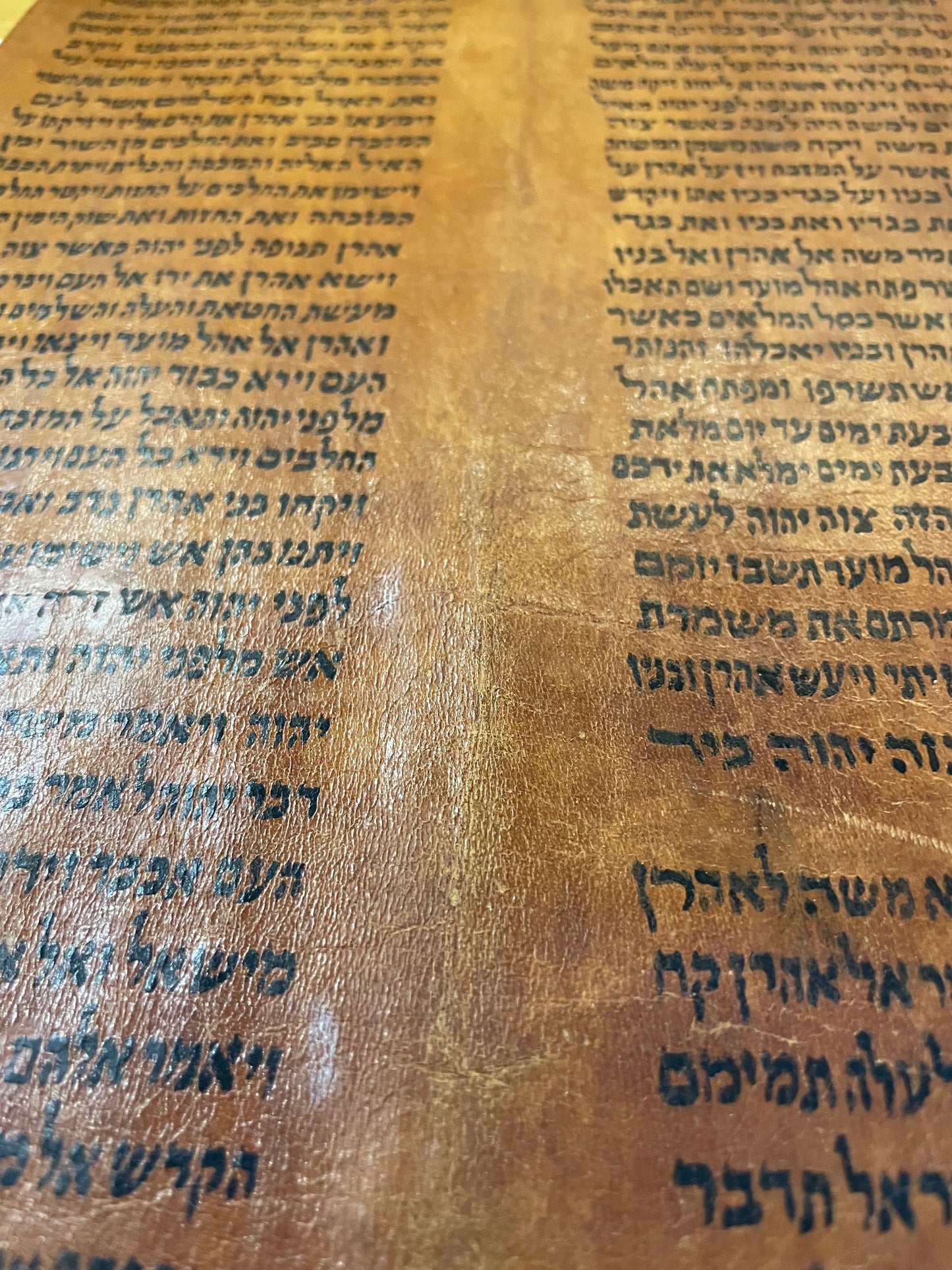 Ancient Yemenite Torah Parchment Fragment