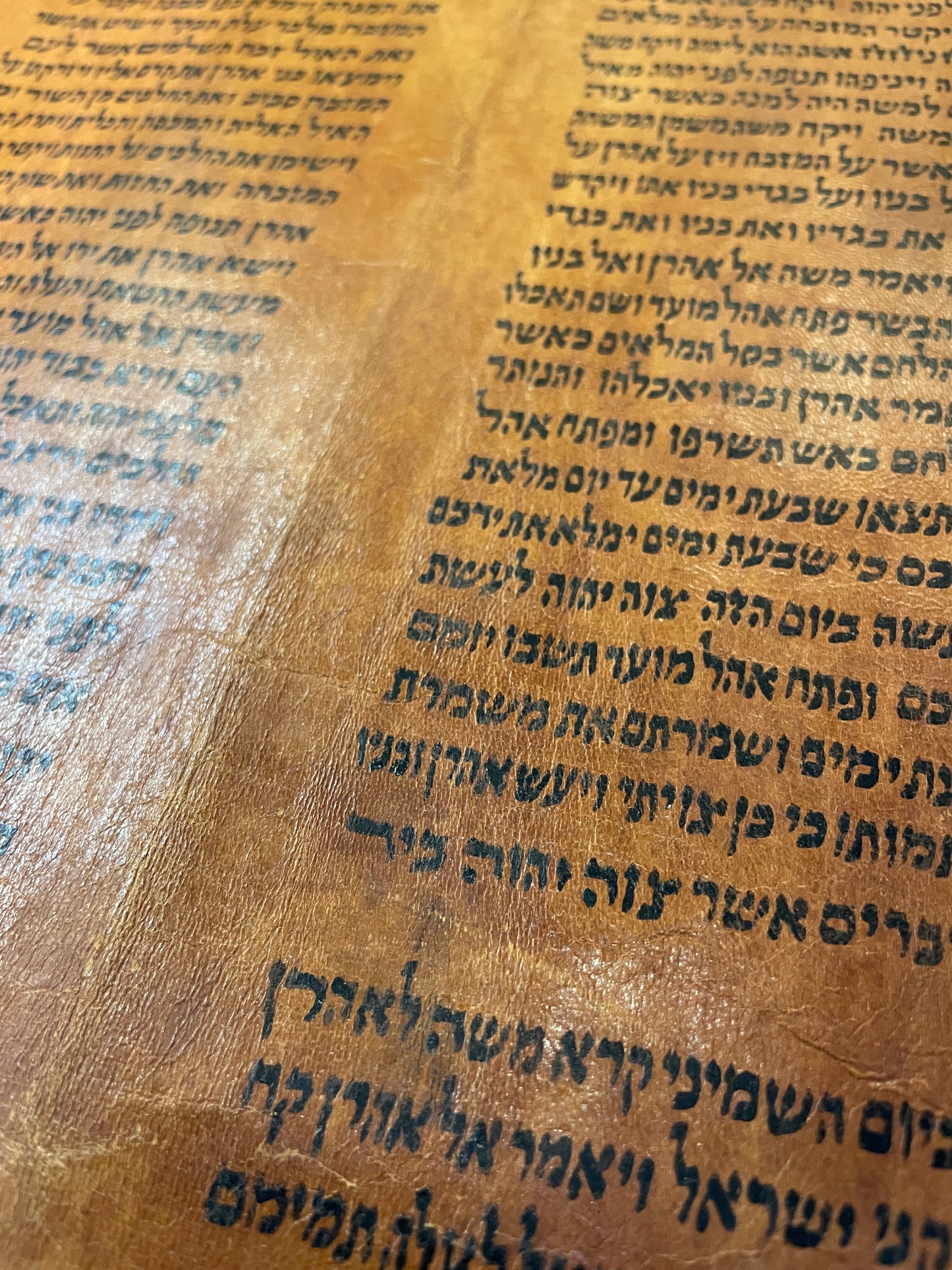 Ancient Yemenite Torah Parchment Fragment